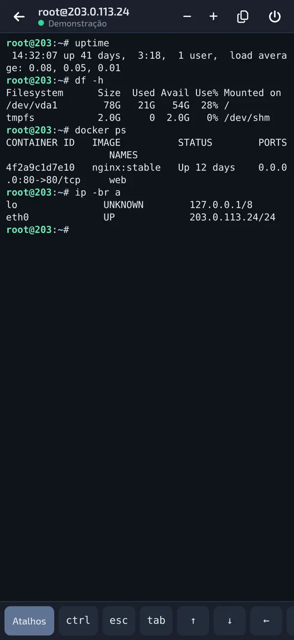 Terminal SSH dentro do app